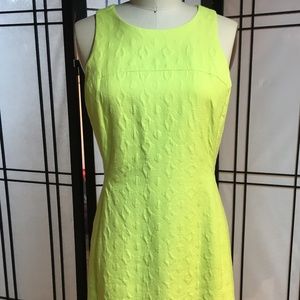 Bright Fit and Flare Dress from Banana Republic
